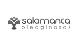 logo-salamanca